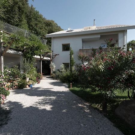 La Loggia Georg Appartement Pianizza di Sopra Buitenkant foto